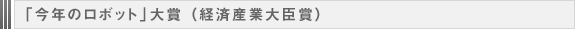 「今年のロボット」大賞 （経済産業大臣賞）